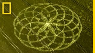 Crop Circle Mystery  National Geographic [upl. by Min]