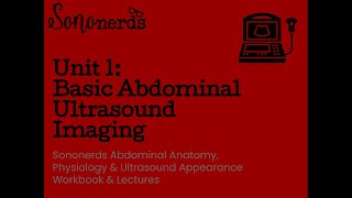 Basic Abdominal Ultrasound Imaging  Unit 1  Normal Abdomen Ultrasound with Sononerds [upl. by Cary181]