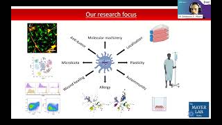 Tissuespecific differences and specialized dendritic cell subpopulations induced by type 2 immunity [upl. by Medardas]