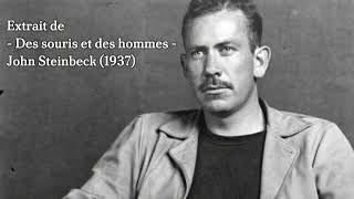 Des SOURIS et des HOMMES  Résumé amp analyse du roman de JOHN STEINBECK [upl. by Tidwell860]