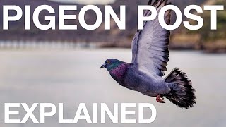 Pigeon Post  Explained [upl. by Daven]