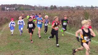 CCCNYC 2017 Boys 6 7 and 8 3K race [upl. by Vlada]