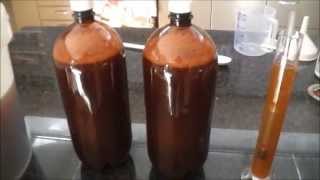 Coopers Draught Homebrew Beer Experiment  Part 1 [upl. by Aleuqahs838]