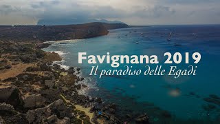 Favignana Il paradiso delle Egadi Sicily  Italy [upl. by Nevil222]