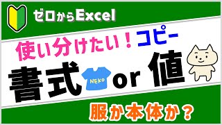 【エクセル初心者】「書式」と「値」のコピー貼り付けの違い【ゼロからパソコン】 [upl. by Ramak]