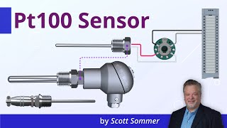 Pt100 Sensor Explained  Working Principles [upl. by Yeslah]