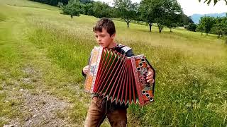 Volkslied aus Kärnten auf der steirischen Ziehharmonika [upl. by Carter604]