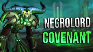 Necrolord Maldraxxus Covenant Abilities for Warlocks Are Insane Decimating Bolt and Fleshcraft [upl. by Hite]