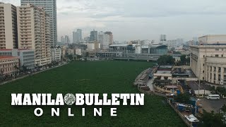 ‘Water lily ‘invasion’ in Pasig River [upl. by Maddalena]