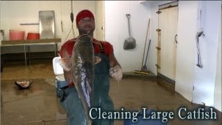 Speed Cleaning Flathead Catfish [upl. by Ralaigh]