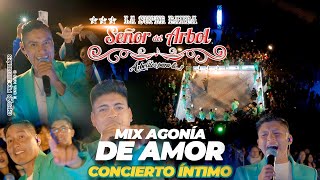 LA SUPER BANDA SEÑOR DEL ÁRBOL  CONCIERTO ÍNTIMO MIX AGONÍA DE AMOR En Vivo Oficial 4k [upl. by Neva]