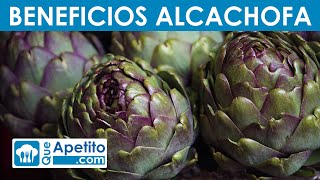 8 Propiedades y Beneficios de la Alcachofa  QueApetito [upl. by Goer]