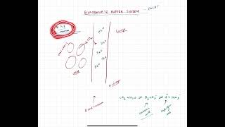 BICARBONATE BUFFER SYSTEM FOR MCAT  EASY [upl. by Lainey]