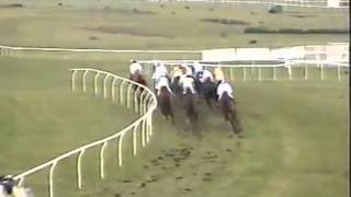 Collier Bay The 1996 Champion Hurdle Cheltenham [upl. by Adnala684]