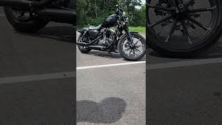 Harley Davidson Sportster Iron 883 Warm Start Rev Idle [upl. by Eille158]