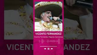 Un Millón de Primaveras  VICENTE FERNANDEZ LO MEJOR DE LO MEJOR SUS GRANDES CANCIONES [upl. by Ynnep509]