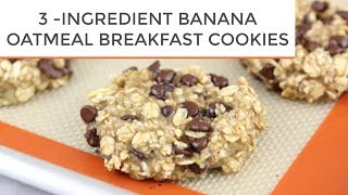 3INGREDIENT BANANA OATMEAL BREAKFAST COOKIES [upl. by Eciened]