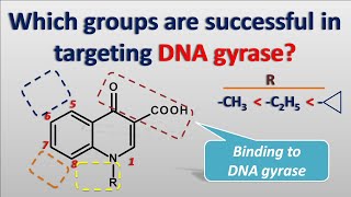SAR of fluoroquinolones  Ofloxacin ciprofloxacin norfloxacin [upl. by Ahsen]