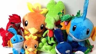 Pokemon Center Lifesize Mudkip Torchic Treecko Plush Legendary Rayquaza Groudon amp MORE [upl. by Noicpecnoc]