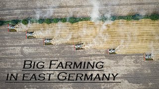 🇩🇪 Big Farming in East Germany 2021  Farming XXL  BEST OF 2021 ▶ Agriculture Germanyy [upl. by Gentes16]