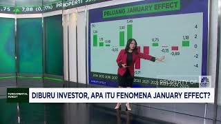 Diburu Investor Apa Itu Fenomena January Effect [upl. by Kcirrek265]