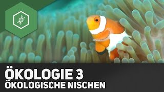 Umweltfaktoren und Ökologische Nischen  Ökologie 3 [upl. by Netsrek834]