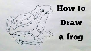 How to draw a frog  Pencil drawing [upl. by Lotus]