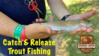 Trout fishing in Dogwood Canyon Nature Park MO [upl. by Zalea503]