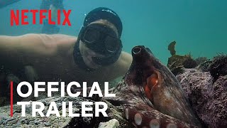 My Octopus Teacher  Official Trailer  Netflix [upl. by Bradshaw]