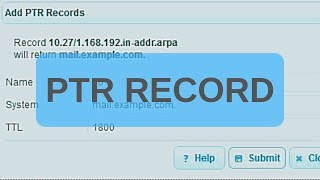 PTR Record  DNS Basics [upl. by Kiyohara]