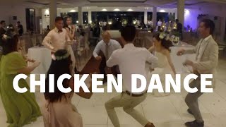 Chicken Dance at Wedding Reception [upl. by Ivers]