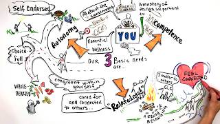 What is Self Determination Theory [upl. by Sharleen]