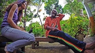 A la rencontre de la culture rastafari [upl. by Garate]