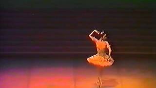 Raymonda  pas de deux  Eva Evdokimova and Fernando Bujones 1985 [upl. by Bunni]