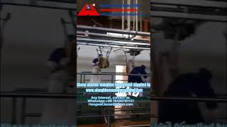 AMAZING FRESH LAMB FACTORY PROCESSING LINEMODERN TECHNOLOGY LIVESTOCK SLAUGHTERHOUSEFOOD PROCESS [upl. by Lunt]