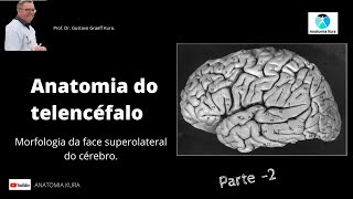 Anatomia do telencéfalo morfologia da face superolateral do cérebro  parte 2 [upl. by Chane861]