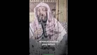 sedekah subuh syekh Ali Jaber fypシ゚viral motivasidiri [upl. by Bernelle]