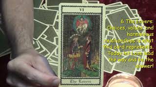 The Medieval Scapini Tarot 11624 Daily Tarot Reading [upl. by Elyod]