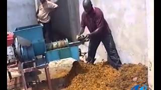 Small palm oil expellerpalm oil press machine running video [upl. by Hnaht]