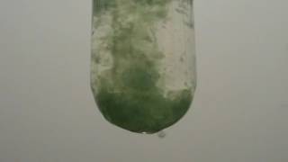 IronII chloride reacts with sodium hydroxide [upl. by Meeki]