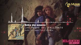 Entre dos Amores  Las Musas del Vallenato [upl. by Yonina]