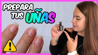 ¿Cómo PREPARAR tus UÑAS para ESMALTE SEMIPERMANENTE FÁCIL Curso De Uñas 009 [upl. by Nynnahs820]