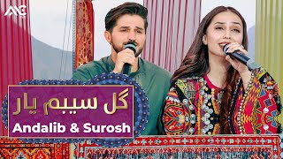 Andalib and Surosh  Gul e Sebam Yar 4K  عندلیب و سروش  گل سیبم یار [upl. by Lolly]