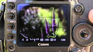 Setting Aperture amp Shutter Speed in manual mode [upl. by Lissak714]