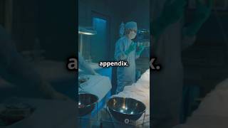 What to expect during appendectomy science humanbody appendicitis [upl. by Yuu959]