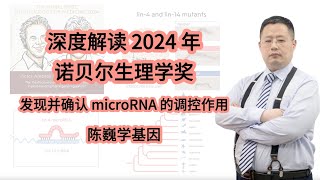 【陈巍学基因】视频 132：深度解读 2024 年诺贝尔生理学奖——发现并确认 microRNA 的调控作用 [upl. by Pine191]