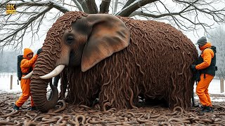 Elephant Infested with Millions of Snakes Rescued by Courageous Team animalrescue [upl. by Atinhoj]