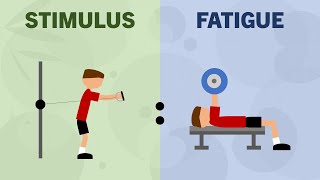 StimulustoFatigue Ratio for Hypertrophy [upl. by Assyral196]