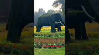 Ormanjhi park song  Ranchi 2025 [upl. by Wagoner]