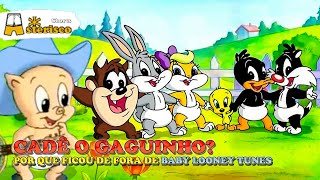 BABY LOONEY TUNES POR QUE O GAGUINHO FICOU DE FORA [upl. by Nihhi]